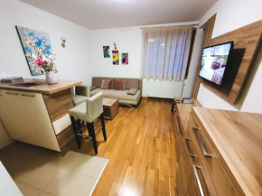 Apartment U 154 - Aparthotel Vučko